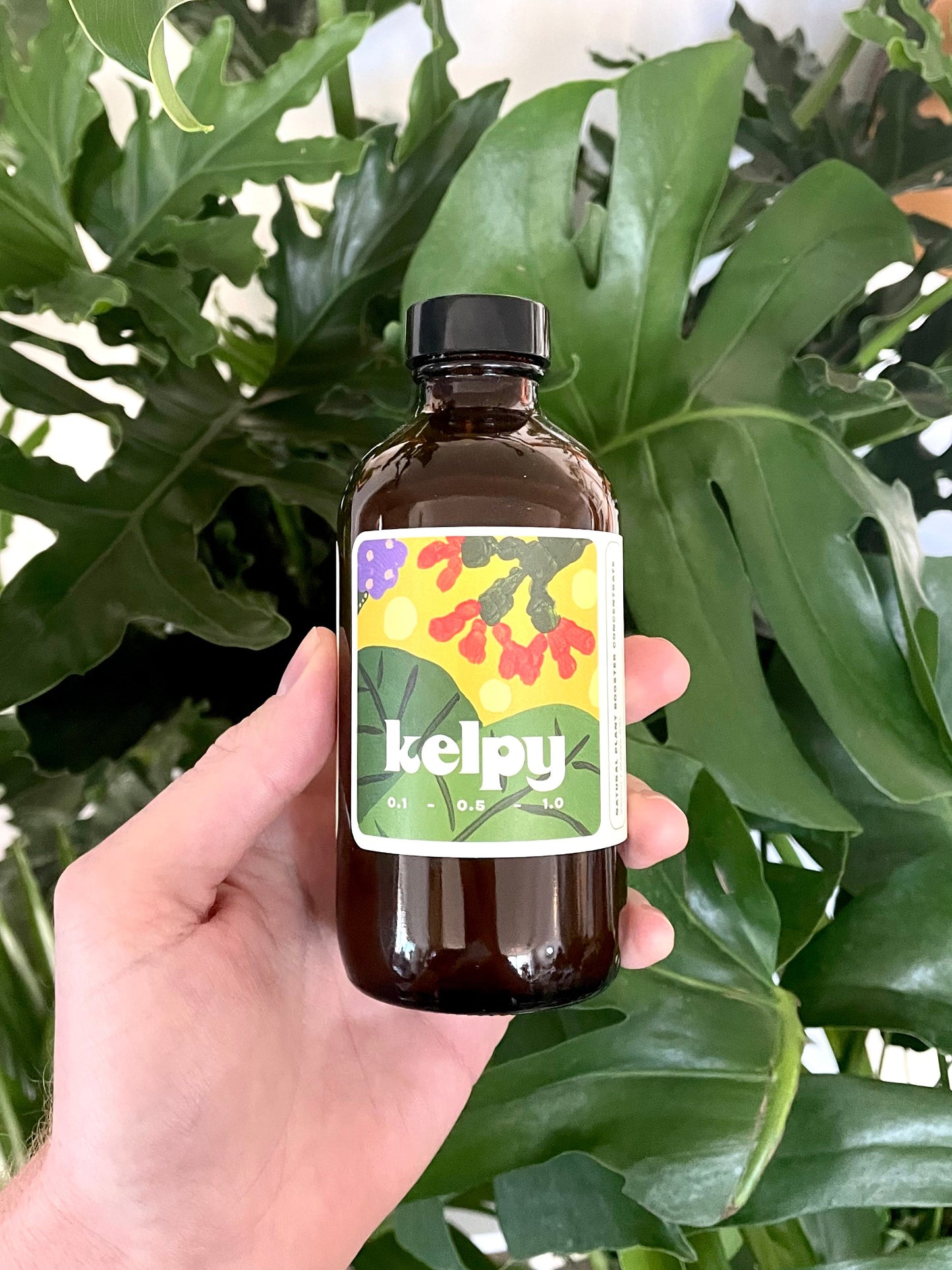 Kelpy Plant Food | 250ml