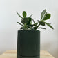 4" Hemlock Planter in Green + Jade