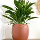 Cibele Planter | 10” Terracotta